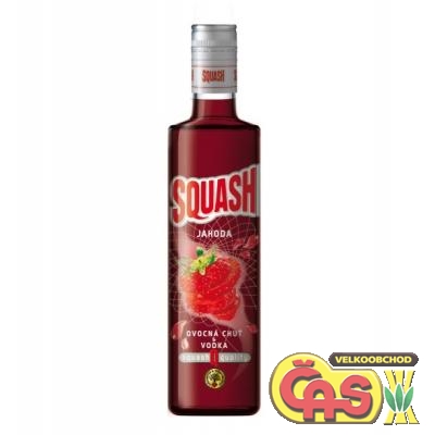 SQUASH Jahoda   0.5l   16% likér